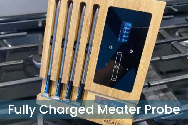 Fully charged Meater Probe